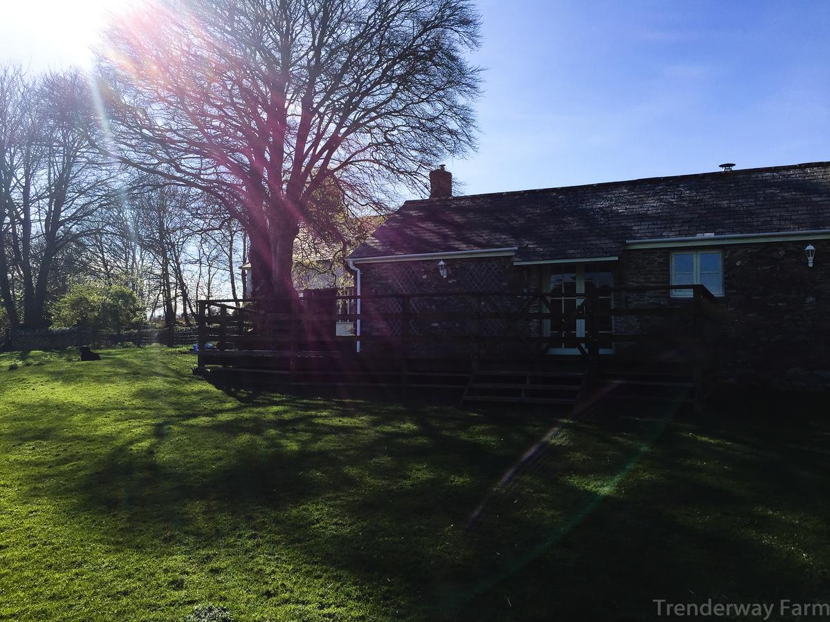 Trenderway Farm Bed and Breakfast Looe Exterior foto