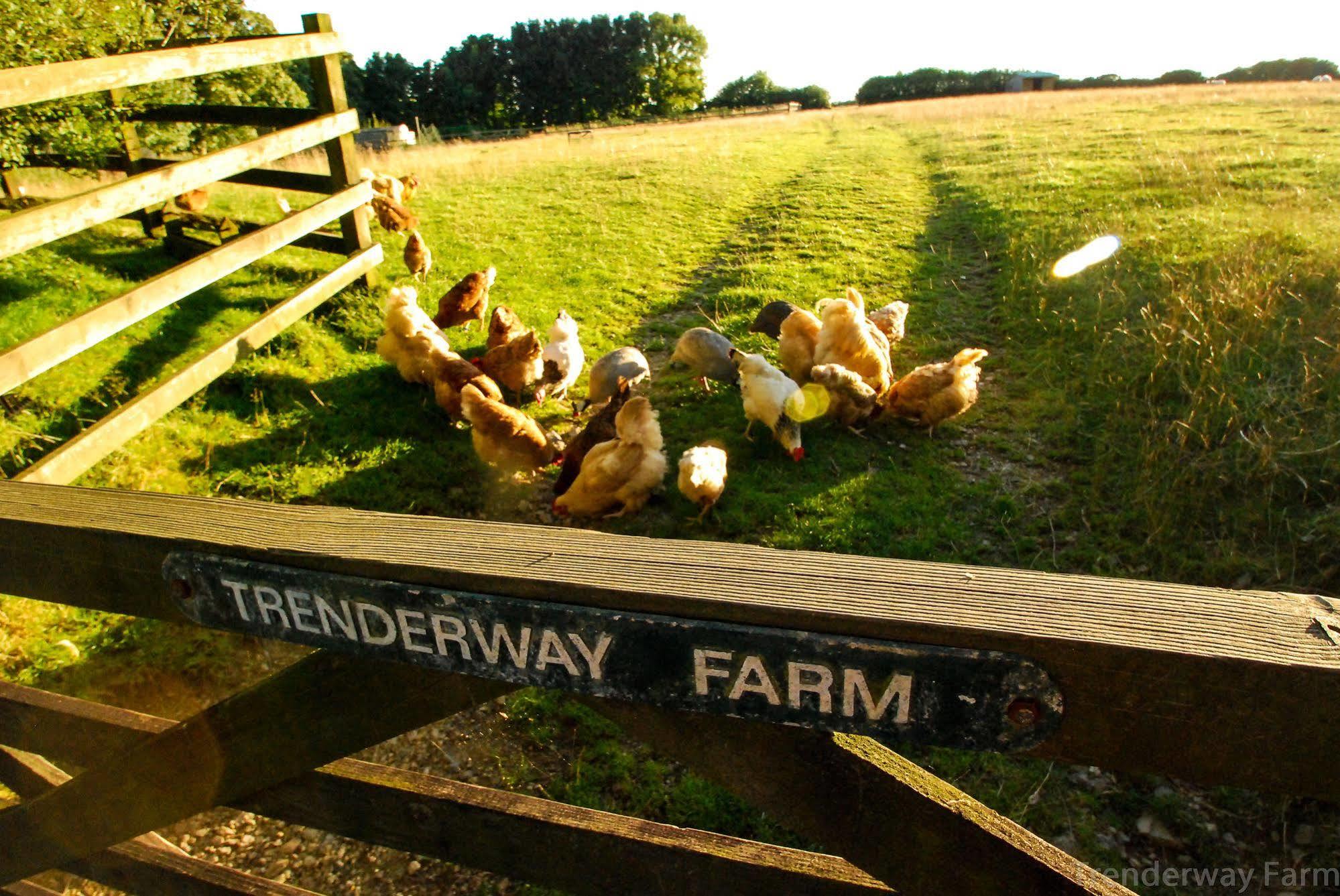 Trenderway Farm Bed and Breakfast Looe Exterior foto